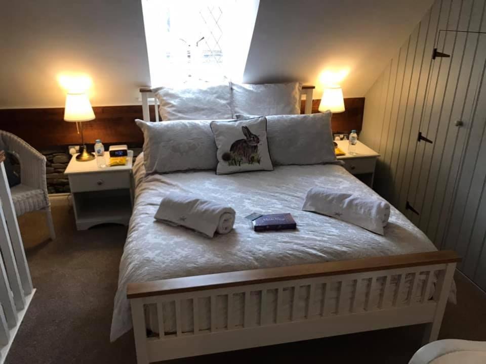 הילסבורו Arthur Street Guest Cottage No16 מראה חיצוני תמונה