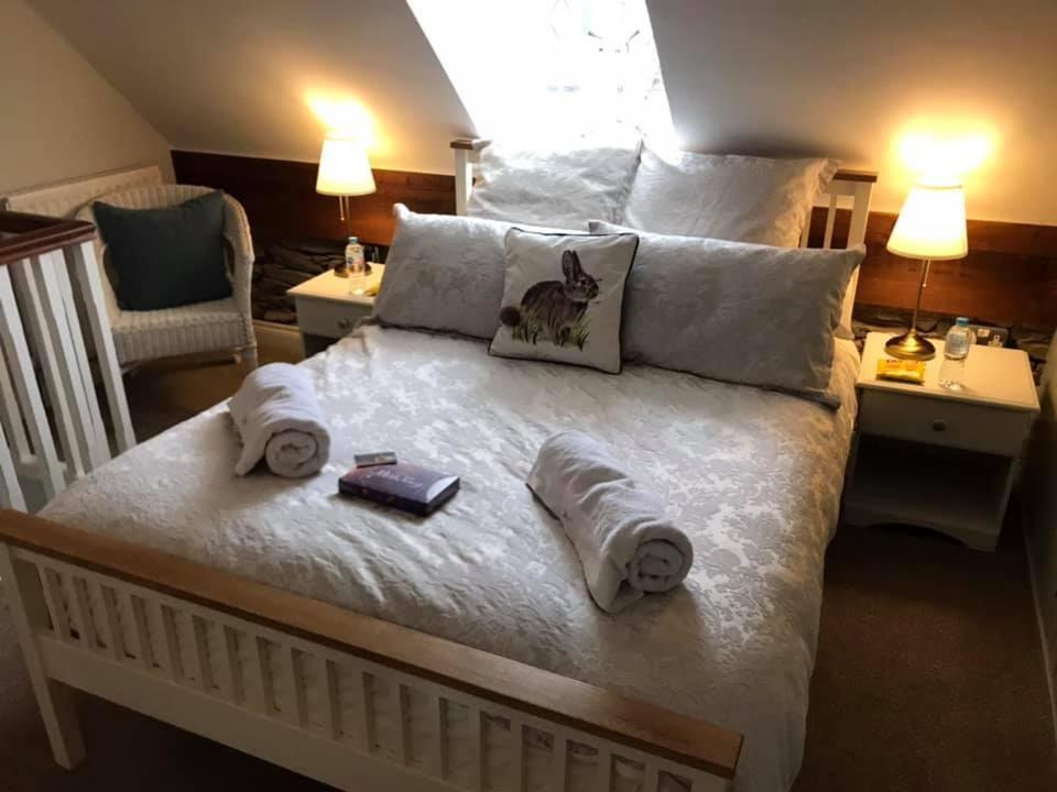 הילסבורו Arthur Street Guest Cottage No16 מראה חיצוני תמונה